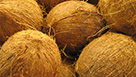 Coco Dry 2